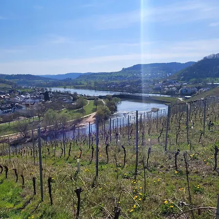 Weidentriesch 公寓