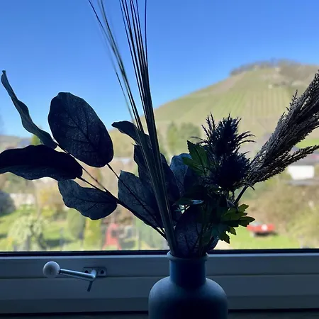 Weidentriesch Appartamento *