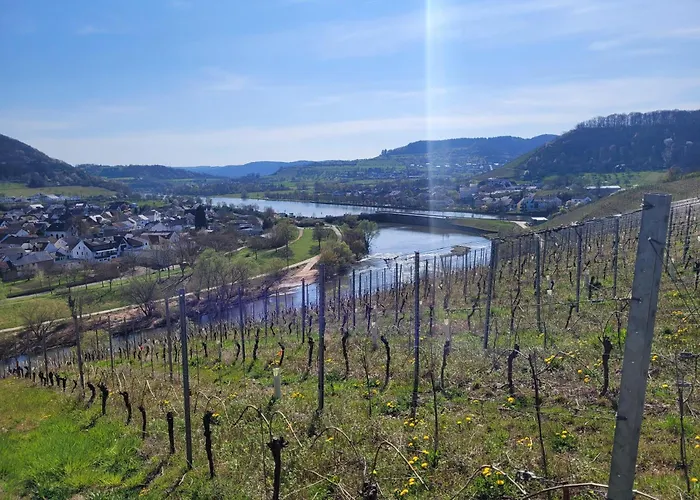 Weidentriesch Διαμέρισμα