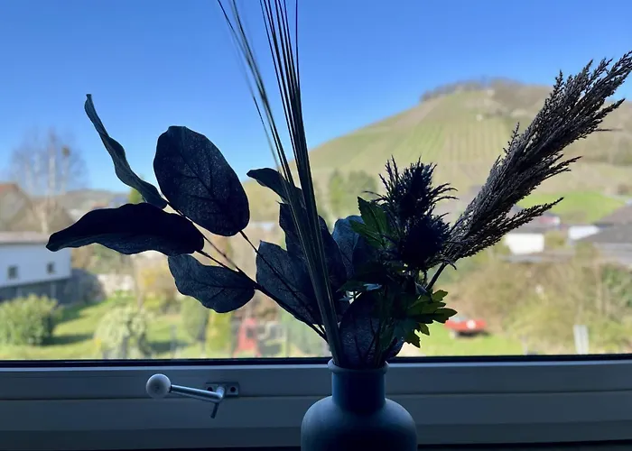 Weidentriesch Apartamento *